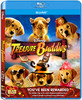 Buy Movie Treasure Buddies