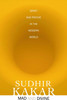 Mad and Divine: Spirit and Psyche in the Modern World by Sudhir Kakar