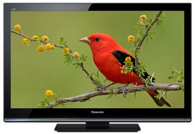 Buy Panasonic VIERA 32 Inches HD LED TH-L32X30D Television: Television