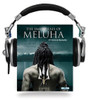 The Immortals Of Meluha by Amish