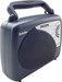 Philips DL167 FM Radio