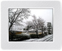 Transcend PF730 Digital Photo Frame (White): Photo Frame Transcend PF730 Digital Photo Frame (White): Photo Frame