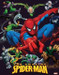Spiderman Paper Print