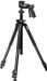 Vanguard Alta Pro 263 AGH 100